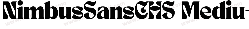 NimbusSansCHS Mediu字体转换